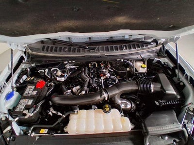 2025 Ford Expedition Active MAX