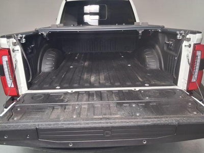 2023 Ford F-250 Platinum