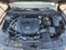 2024 Mazda Mazda CX-50 2.5 S Premium Plus