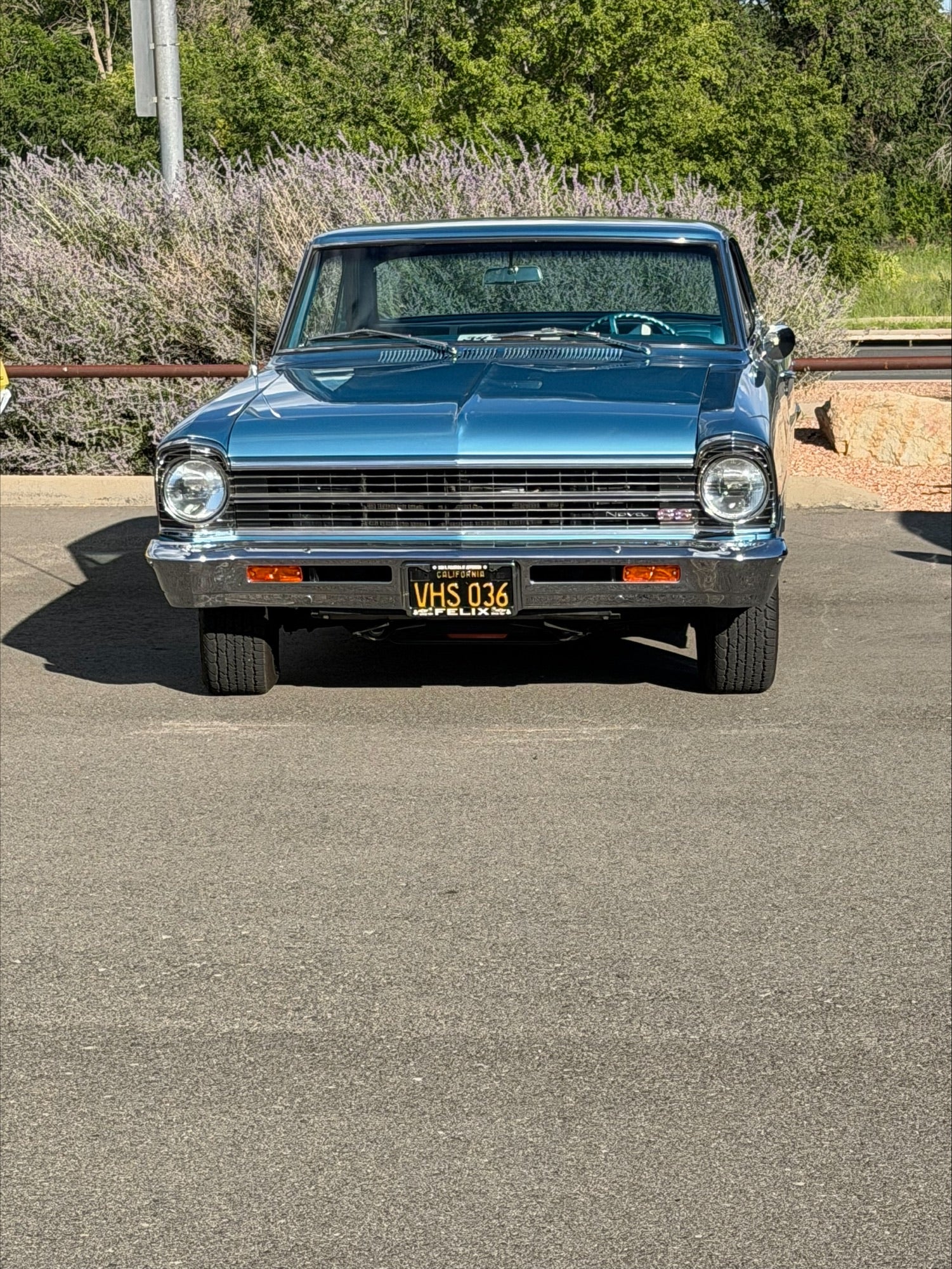 carshow9 