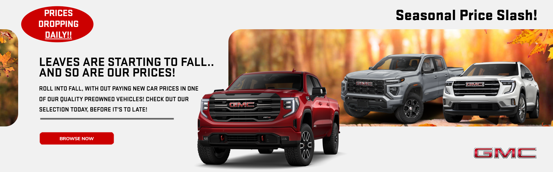 Fall background with trees 