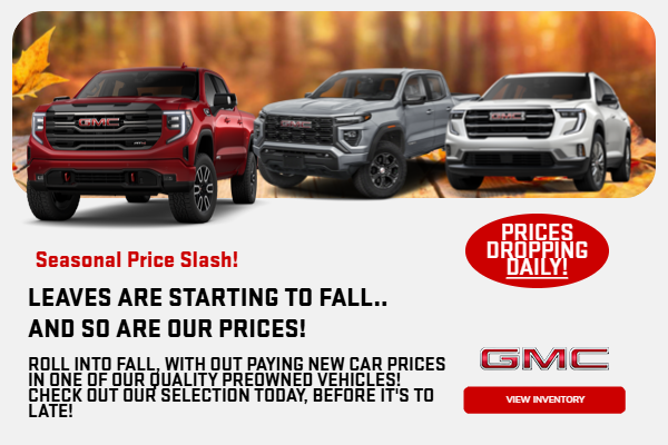 Fall background with trees