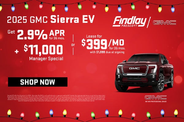Lease for $399/mo or get 2.9% APR and $11,000